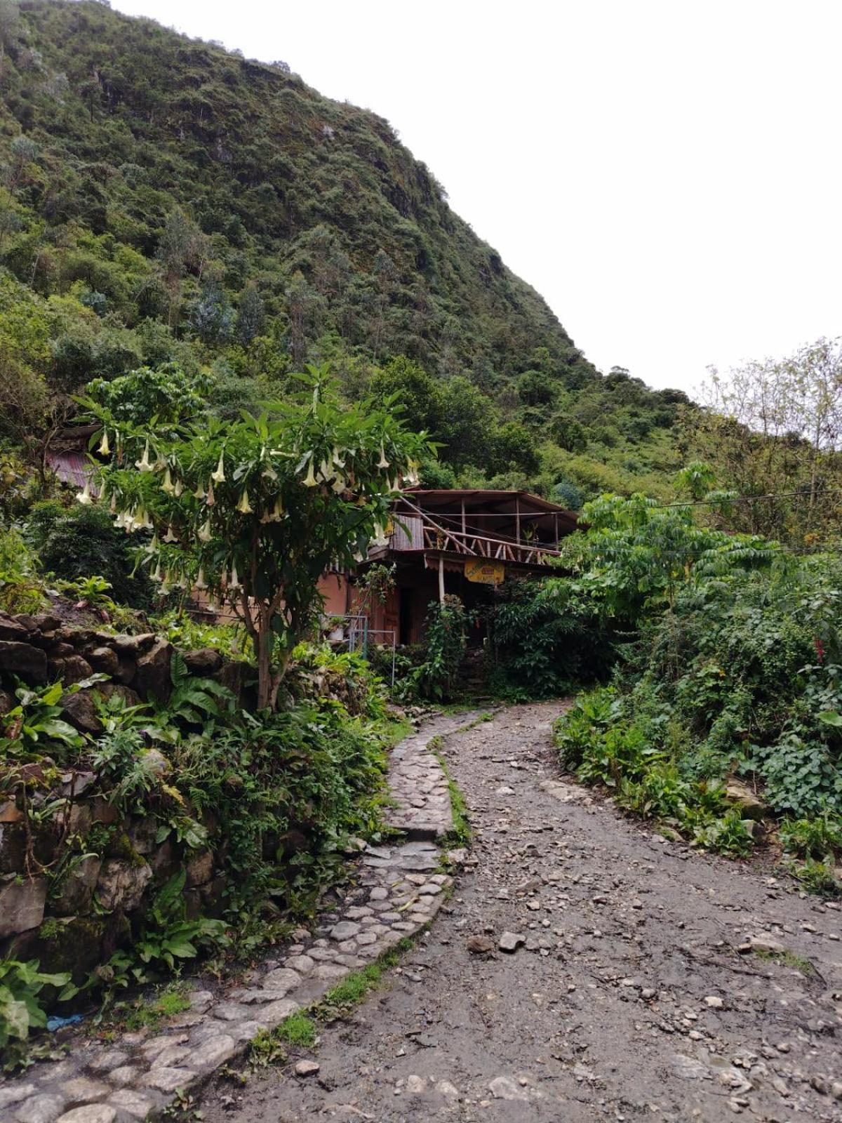 Hostel Samana Wasi Chaullay Cuzco Buitenkant foto